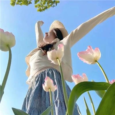 摩斯与最后的前传